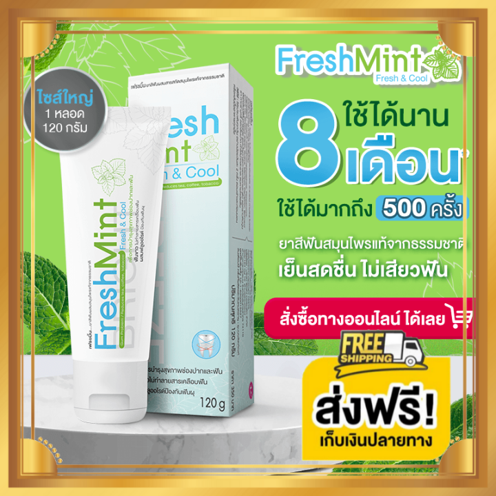 ยาสีฟันสมุนไพร Freshmint เฟรชมิ้น ลดอาการเสียวฟัน ดูแลทั้งสุขภาพเหงือกและฟัน Th 4687