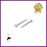 สกรูเกลียวปล่อย TP DEXZON 7X1 นิ้ว 25 ตัวSELF-TAPPING SCREW TP DEXZON 7X1IN 25PCS **คุ้มที่สุดแล้วจ้า**