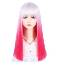 BCHR Long Straight Wigs With Bangs for Women Natural Looking Fashion Synthetic Heat Resistant Fiber Hair Wigs(18Inch Pink/Blue) Wig  Hair Extensions P