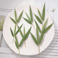 120pcs500pcs Dried Pressed Flower Bamboo Leaves Natral Real Plants Resin Diy Phone Case Photo Frame Bookmards Accessories Decor