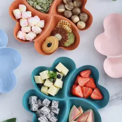 Global trade starts here Round Divided Serving Tray with Lid 4/5 Individual  Dishes Food Storage Containers Snack Fruit Veggie Candies Serving Platter,  snack tray with lid