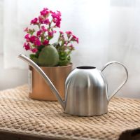 【CW】 Watering Pot Gardening Potted Small Can 500ML With Handle Garden