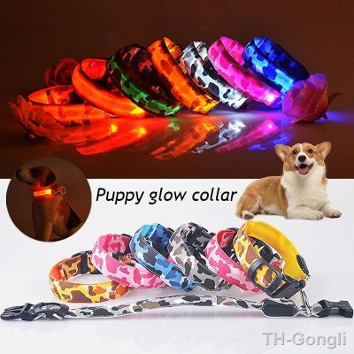 【hot】✑  Dog Collar Flashing Glowing Reflective Night Safety Cats pet supplies