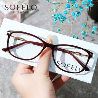 Fashion Cat Eye Myopia Glasses Frame Women Optical Prescription Eye Glasses Frame Ladies Stainless Steel Spectacles Frame Brand