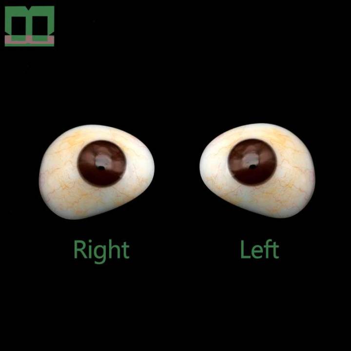 ตาเทียมที่ละเอียดอ่อนนักเรียนวัสดุโพลิเมอร์สูงตาซ้าย-oculus-dexter-จำลองปุ่มหลุมตาเทียม