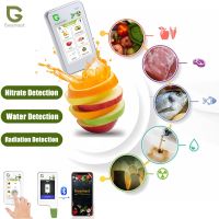 Greentest Home Kitchen Nitrate Tester Detector Fruit Vegetable Meat Radiation TDS Water Concentration Detector For Food Safety