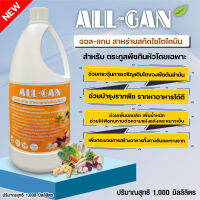 ปุ๋ยน้ำพืชกินหัว 1000ML. เพิ่มน้ำหนัก เพิ่มผลผลิต ต้านทานศัตรูพืช ALL GAN สาหร่ายสกัดไซโตไคนิน ทนทานต่อความแห้งแล้ง และหนาวเย็น