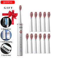 Gollinio Electric Toothbrush Usb fast charging Sonic GL42F electr toothbrush Rechargeable prodent toothbrush Replacement Head