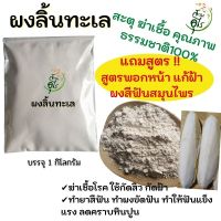 ผงลิ้นทะเล สะตุ ฆ่าเชื้อ ธรรมชาติ100% คุณภาพ บดละเอียด 1kg ปลอดภัย ไร้สารเคมี ผงกระดองปลาหมึก ลิ้นทะเล กระดองหมึก แก้ฝ้า แก้สิว ฆ่าเชื้อ