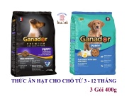 Combo 3 Gói Thức ăn hạt cho Chó con Ganador Gói 400g Thương hiệu từ Pháp