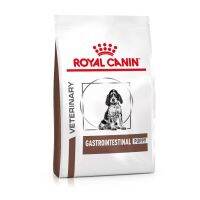 Royal Canin Gastrointestinal Puppy อาหารสุนัข ถ่ายเหลว ท้องเสีย การย่อยผิดปกติ 1 กก.