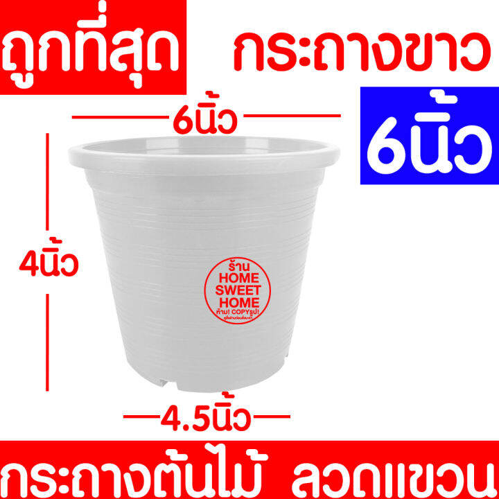 กกระถางต้นไม้-ลวดแขวนกระถาง-กระถางขาว-ขนาด-6-นิ้ว-กระถางพลาสติก-กระถางกลม-กระถางต้นไม้พลาสติก-กระถางปลูกต้นไม้-กระถางดำ-กระถางพลาสติกดำ-flower-pot