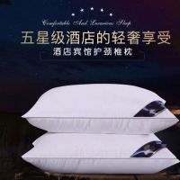 Five-star hotel cervical spine pillow Hilton pillow pillow core dormitory adult gift pillow wholesale pillows