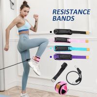 3Pcs Yoga Resistance Bands Set Rubber Bands Elastic Fitness Bands Pilates Rubber Training Expander Crossfit Fitness Equipment Exercise Bands