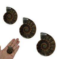 ธรรมชาติ Ammonite สไตล์วินเทจเกลียวเชลล์ที่จะสอนแปลกหินสามารถนำความมั่งคั่งความรุ่งเรืองและผ่อนคลายล้างสังข์เปลือก Amiable