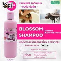 SoCozyHomeNatureplus แชมพู อาบน้ำ หมาและแมว กลิ่นซากุระ และกลิ่นน้ำนมข้าว ขนาด 240ml