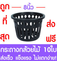 กระถางกล้วยไม้ กระถางต้นไม้ ขนาด 8 นิ้ว 10ใบ กระถางพลาสติก กล้วยไม้ กระถางกลม กระถางต้นไม้พลาสติก กระถางปลูกต้นไม้ กระถางดำ  Flower pot