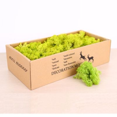 500g Artificial Plant Eternal Life Moss Garden Home Decoration Wall DIY Flower Material Mini Garden Micro Landscape Accessories