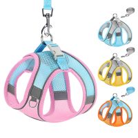 Nylon Dog Vest Harness and Leash Set Puppy Cat Summer Mesh Harness Reflective Adjustable for Small Medium Dogs Cats Chihuahua