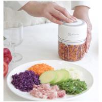 HouseTip Electric Mini Chopper 250ml