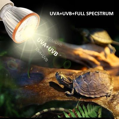 Full specstrum UVA UVB สัตว์เลื้อยคลานความร้อนโคมไฟ LED UV โคมไฟสำหรับเต่า Lizard งูเครื่องทำความร้อนหลอดไฟ Terrarium โคมไฟเต่าสัตว์เลื้อยคลาน kennage