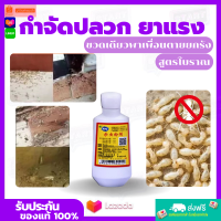 อาวุธหนัก ยาฆ่าปลวกยกรัง ยาฆ่าปลวกติดเชื้อตายในรัง‼️กำจัดปลวก ยาจะติดตามตัว และพาเพื่อนรัง ตายยกรัง น้ำยากำจัดปลวก ปลวก ยาฆ่าแมลง