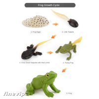 【Finevips】Kids Animals Insects Growth Cycle Toy Set Models Learning Pretend Play