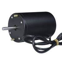 【hot】☊☂┇ φ77mm PMDC Motor 12V 24V 150W 200W 3500rpm 7000rpm Permanent with and 8mm Shaft