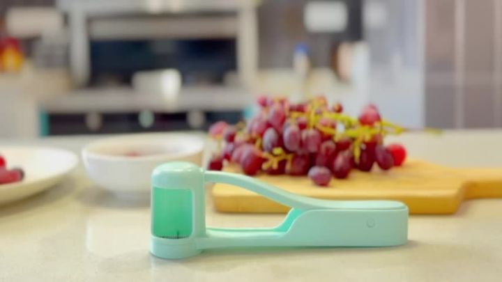 WhiteRhino Grape Slicer For Toddler Baby Grape Cherry Tomato Strawberry  Cutter