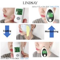 [LINDSAY] Premium Modeling Powder Best 5 Types 1kg