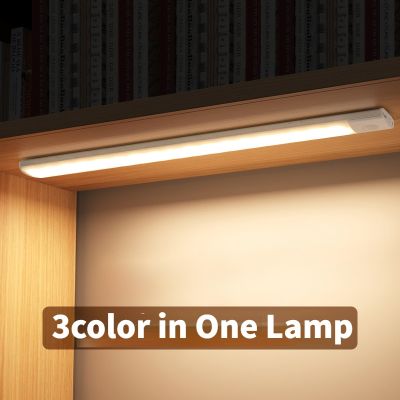【CC】 Night Sensor USB Rechargeable Lamp Cabinet Bedroom Wardrobe Indoor