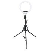 Ring Light with Tripod Stand Phone Holder, 10Inch Selfie Ring Light for Phone with Bluetooth Remote, for Live Streaming