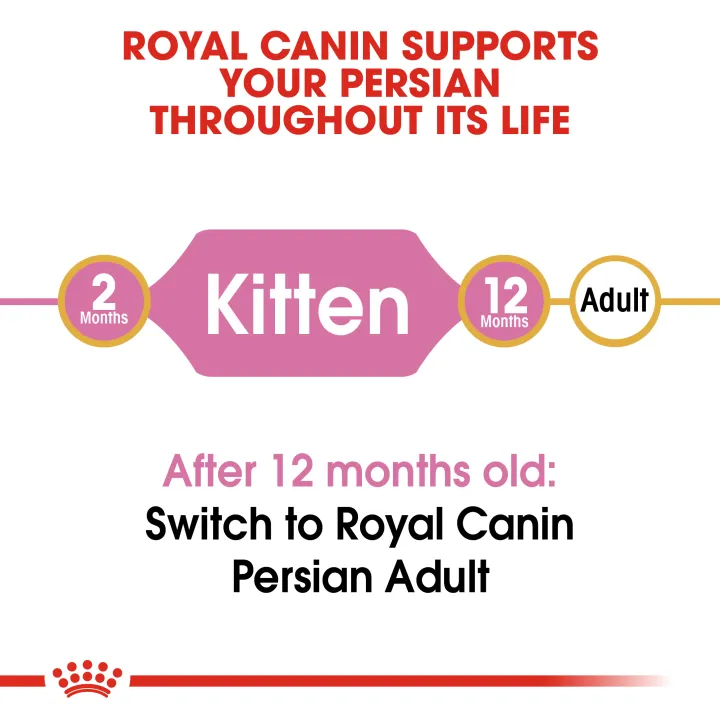 หมดอายุ12-23-royal-canin-persian-kitten-10-kg-อาหารลูกแมวเปอร์เซีย