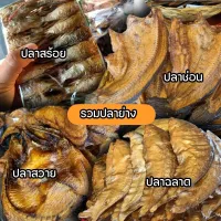 เซตรวมปลาย่าง ปลาสวาย ปลาช่อน ปลาฉลาก ปลาสร้อย ย่าง