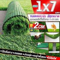 ขนาด 1x7 เมตร(7ตรม.)หญ้าเทียมใบ 2 ซม กัน UV คุณภาพดีเกรดเอสำหรับตกแต่งสวน ตกแต่งบ้าน ร้านค้า หญ้าปูพื้น หญ้าเทียมถูกๆ มีทุกขนาดสอบถามได้