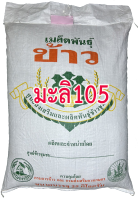 เมล็ดพันธุ์ ข้าว หอมมะลิ105 พันธุ์ ขาวดอกมะลิ 105