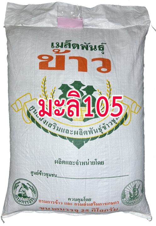 จัดส่งฟรี-เมล็ดพันธุ์-ข้าว-หอมมะลิ105-พันธุ์-ขาวดอกมะลิ-105