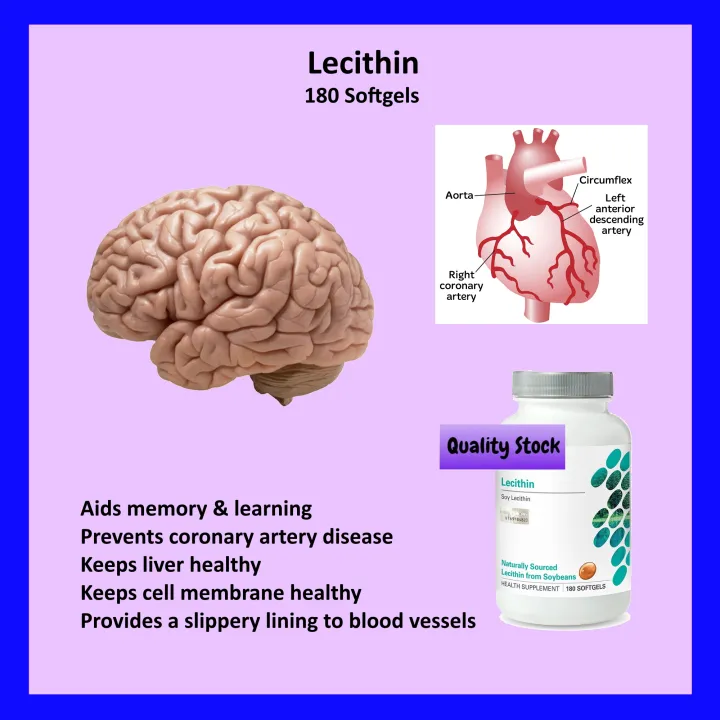 Lecithin 180 Softgels Emulsifier Lazada