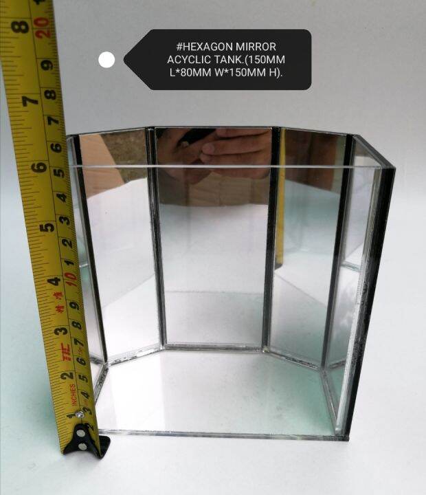 Hexagon Acrylic Aquarium Mirror Back Fish Betta Tank Ikan Akuarium Lazada