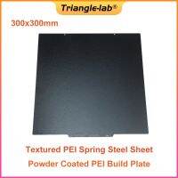 Trianglelab 300X300Mm Double Sided พื้นผิว Pei แผ่นแผ่นเหล็กเคลือบผงสำหรับ Voraon 2.4