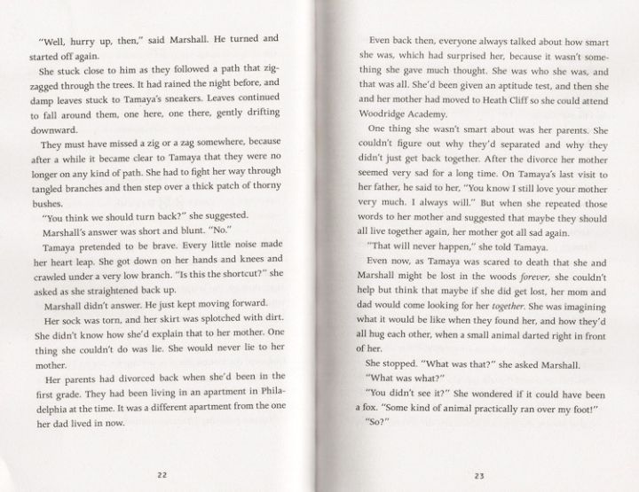 original-english-fuzzy-mud-monster-newbury-award-writer-louis-sachers-new-work-louis-sachar-youth-english-reading-houles-hole-co-author