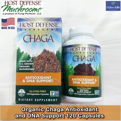 เห็ดหิ้งไซบีเรีย ชาก้า Chaga Antioxidant and DNA Support 120 Capsules - Host Defense