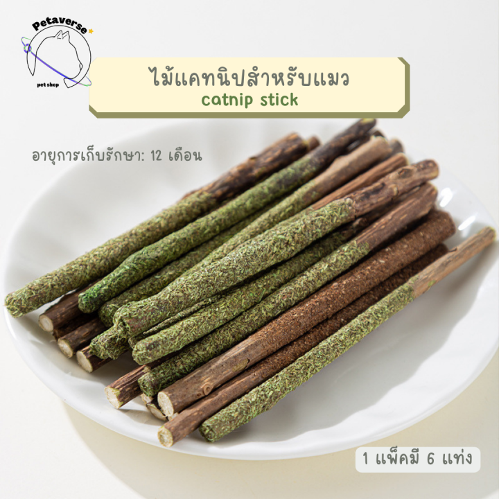 petaverse-petshop-ไม้แคทนิปสำหรับแมว-แพ็คไม้แคทนิป-6-ชิ้น-ไม้ขัดฟัน-เพิ่มความอยากอาหาร