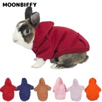 Pet Dog Autumn Winter Warm Sweater Bunny Pocket Two-legged Clothes Lapin Puppy Adult Rabbit 토끼 Accessories Small Pet Supplies