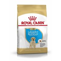 ส่งฟรีทุกชิ้นทั่วไทย  Royal Canin Labrador Retriever Junior 12 kg.