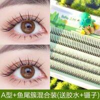 2023 Lishu Fairy Hair Fishtail ผสมคลัสเตอร์เดี่ยว A ประเภทขนนางฟ้าแบ่งส่วนตามธรรมชาติขนตาปลอมที่ได้รับการต่อกิ่งเดี่ยวที่นิยมในโลกออนไลน์