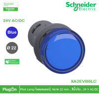 XA2EVB6LC - Schneider Electric - Pilot Lamp ไพลอตแลมป์, ขนาด 22 mm , สีน้ำเงิน , 24 V AC/DC  สั่งซื้อได้ร้าน PlugOn