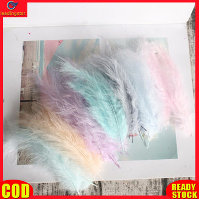 LeadingStar RC Authentic 50Pcs 4-6 Inches10-15cm Multicolor Feather DIY Craft Wedding Dreamcatcher Decoration