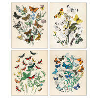 40X60ซม. (16X24นิ้ว) Retro Butterfly โปสเตอร์ Wall Decor Vintage 8X10 Pastoral สไตล์ Cottagecore ห้องนั่งเล่น Frameless ภาพวาด Core