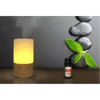 Newly Fragrant Essential Aromatherapy Oil for Diffuser Humidifer Air-Revitalisor and Topical Use 0.33 Oz VA88